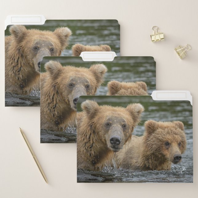 Cutest Baby Animals | Mama Bear & Her Cubs File Folder (Set)