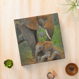 Cutest Baby Animals Mama Elephant & Baby 3 Ring Binder
