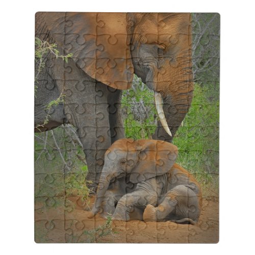 Cutest Baby Animals  Mama Elephant  Baby Jigsaw Puzzle