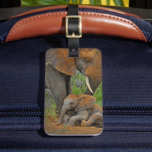 Cutest Baby Animals  Mama Elephant  Baby Luggage Tag