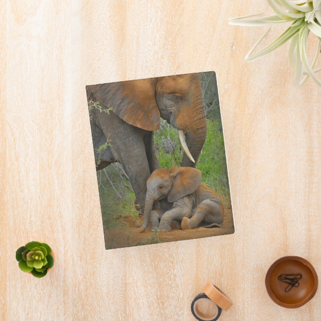 Cutest Baby Animals | Mama Elephant & Baby Mini Binder (InSitu)