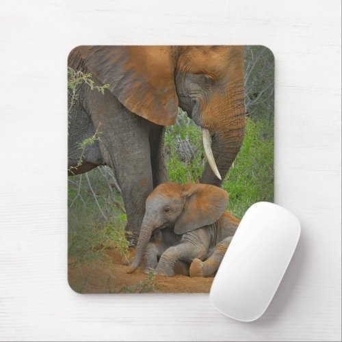 Cutest Baby Animals  Mama Elephant  Baby Mouse Pad