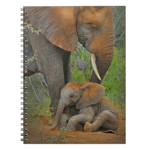 Cutest Baby Animals  Mama Elephant  Baby Notebook