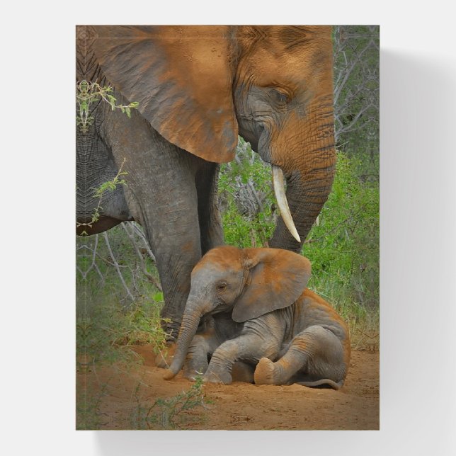 Cutest Baby Animals | Mama Elephant & Baby Paperweight (Vertical)