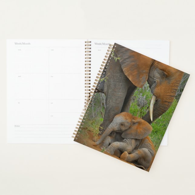 Cutest Baby Animals | Mama Elephant & Baby Planner (Display)