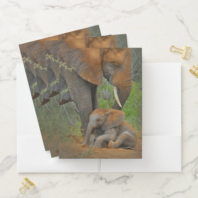 Cutest Baby Animals | Mama Elephant & Baby Pocket Folder (In Situ)