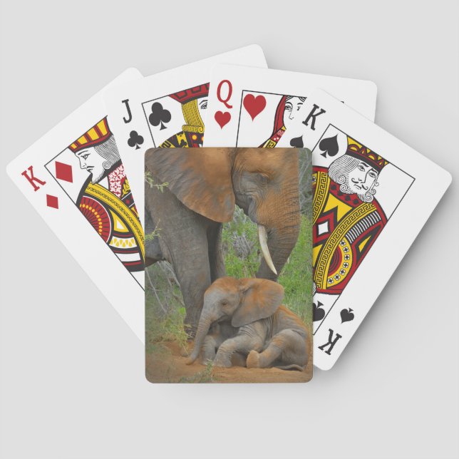 Cutest Baby Animals | Mama Elephant & Baby Poker Cards (Back)