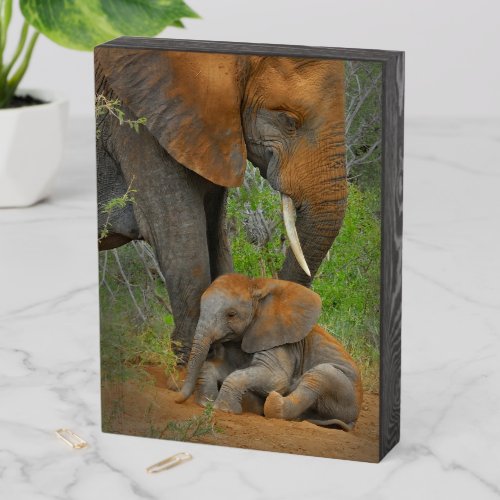 Cutest Baby Animals  Mama Elephant  Baby Wooden Box Sign