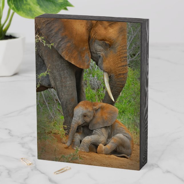 Cutest Baby Animals | Mama Elephant & Baby Wooden Box Sign (In Situ Vertical)