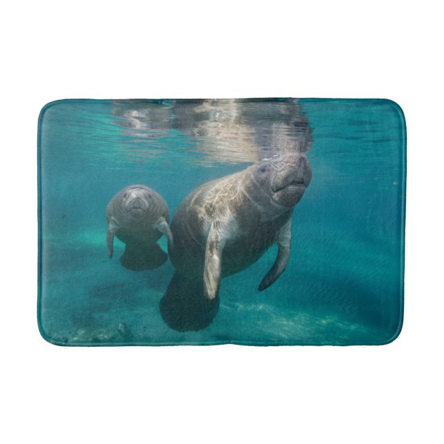 Cutest Baby Animals | Manatee & Baby Bath Mat (Front)