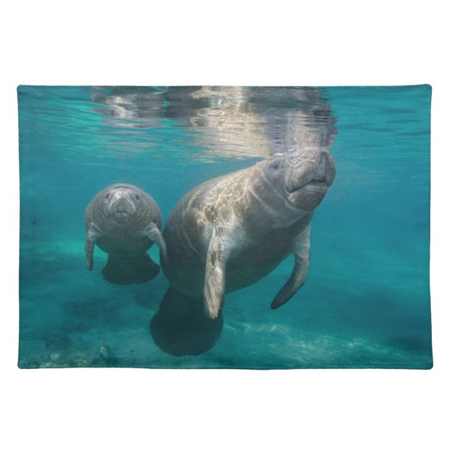 Cutest Baby Animals | Manatee & Baby Cloth Placemat (Front)