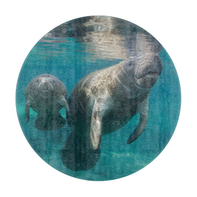 Cutest Baby Animals | Manatee & Baby Cutting Board (Front)