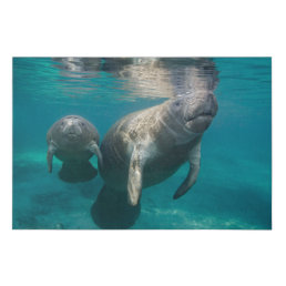Cutest Baby Animals | Manatee &amp; Baby Faux Canvas Print