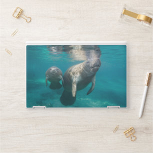 Cutest Baby Animals Manatee & Baby HP Laptop Skin