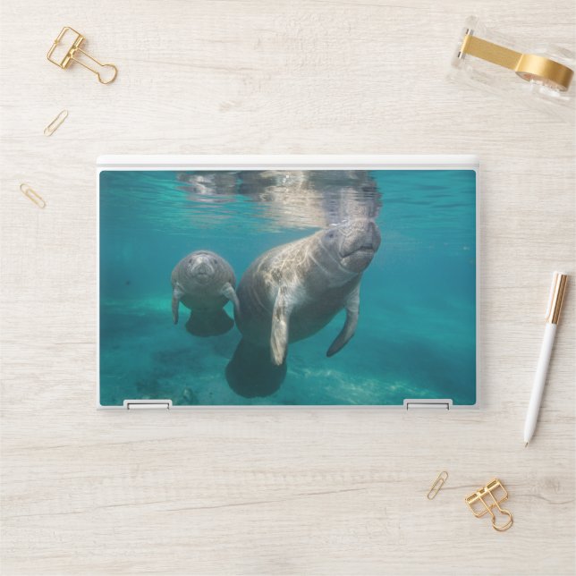Cutest Baby Animals | Manatee & Baby HP Laptop Skin (Desk)
