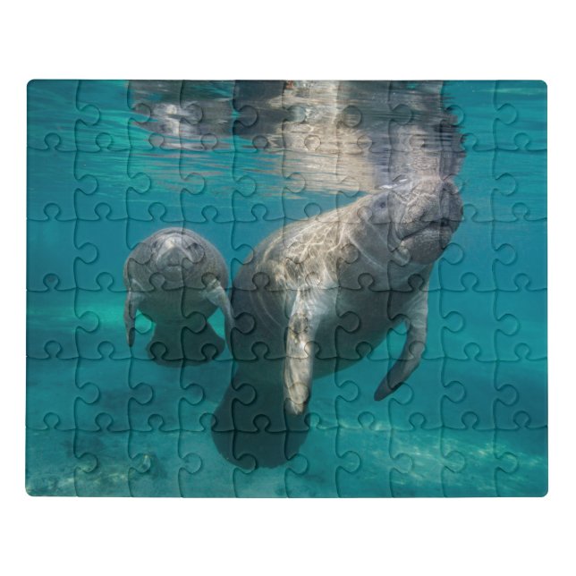 Cutest Baby Animals | Manatee & Baby Jigsaw Puzzle (Puzzle Horizontal)