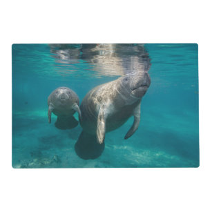 Cutest Baby Animals   Manatee & Baby Placemat