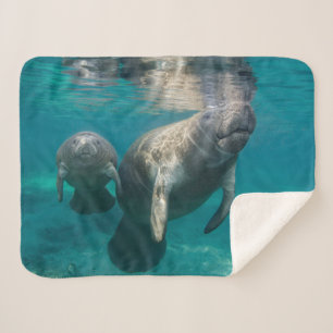Cutest Baby Animals Manatee & Baby Sherpa Blanket