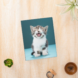 Cutest Baby Animals   Meowing Baby Kitten Mini Binder