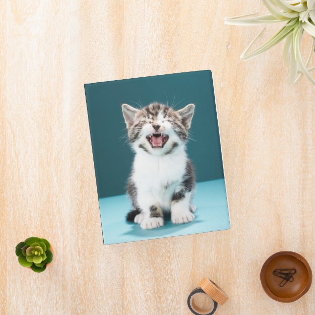 Cutest Baby Animals | Meowing Baby Kitten Mini Binder (InSitu)