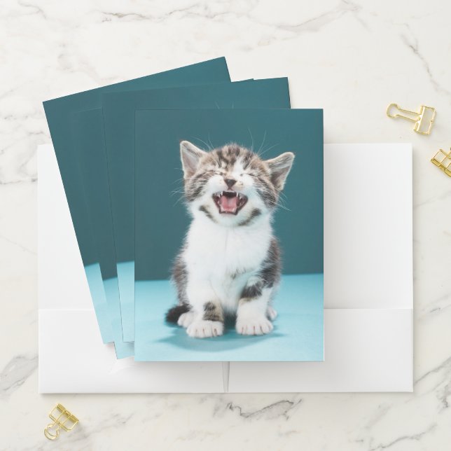 Cutest Baby Animals | Meowing Baby Kitten Pocket Folder (In Situ)