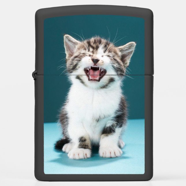 Cutest Baby Animals | Meowing Baby Kitten Zippo Lighter (Front)