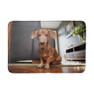 Cutest Baby Animals Mini Dachshund Puppy Bath Mat