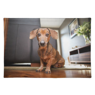 Cutest Baby Animals   Mini Dachshund Puppy Cloth Placemat