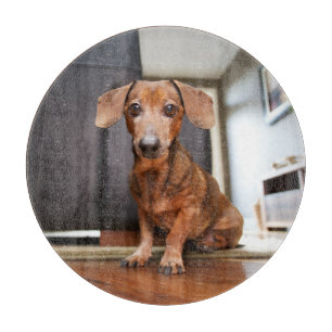 Cutest Baby Animals Mini Dachshund Puppy Cutting Board