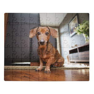 Cutest Baby Animals   Mini Dachshund Puppy Jigsaw Puzzle