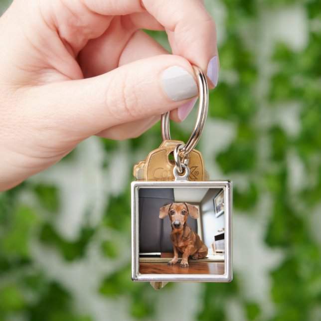 Cutest Baby Animals | Mini Dachshund Puppy Keychain (Hand)