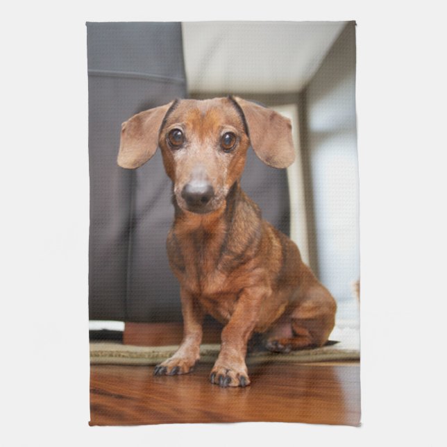 Cutest Baby Animals | Mini Dachshund Puppy Kitchen Towel (Vertical)