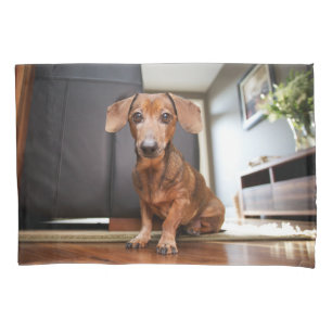 Cutest Baby Animals   Mini Dachshund Puppy Pillow Case