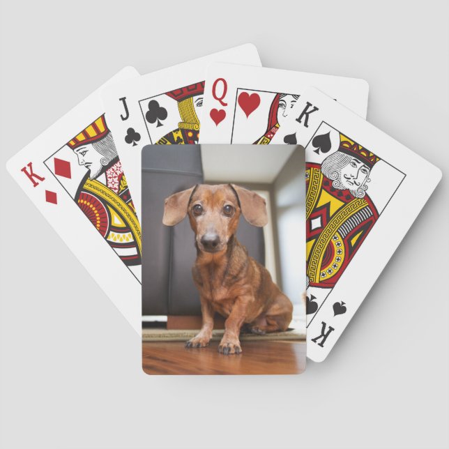 Cutest Baby Animals | Mini Dachshund Puppy Poker Cards (Back)