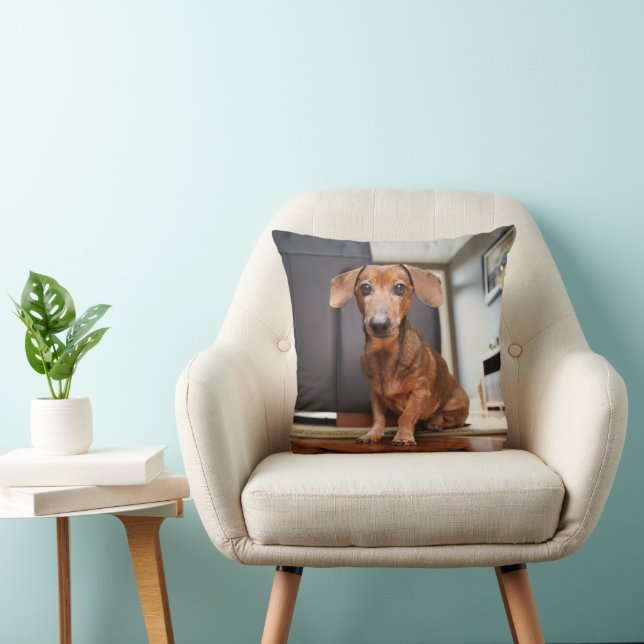 Cutest Baby Animals | Mini Dachshund Puppy Throw Pillow (Chair)
