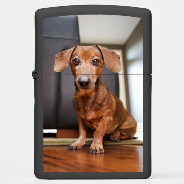 Cutest Baby Animals | Mini Dachshund Puppy Zippo Lighter (Front)