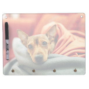 Cutest Baby Animals Miniature Pinscher Dry Erase Board With Keychain Holder