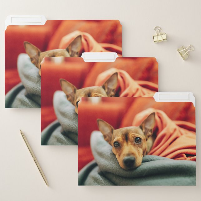 Cutest Baby Animals | Miniature Pinscher File Folder (Set)