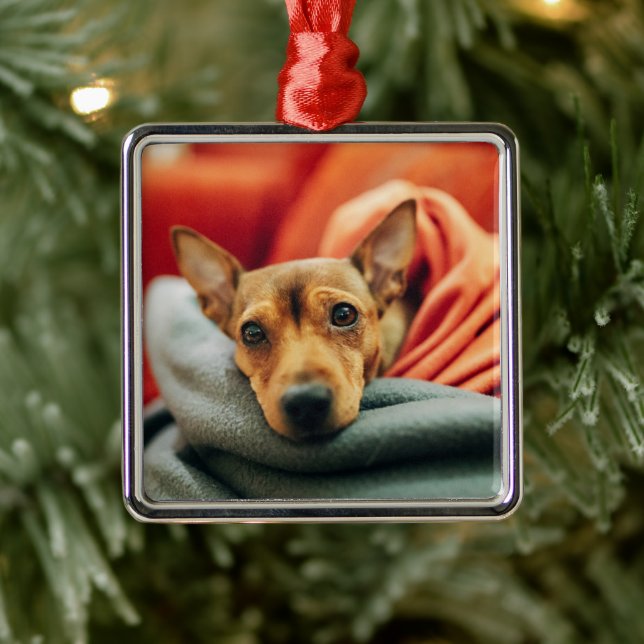 Cutest Baby Animals | Miniature Pinscher Metal Ornament (Tree)