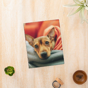 Cutest Baby Animals   Miniature Pinscher Mini Binder