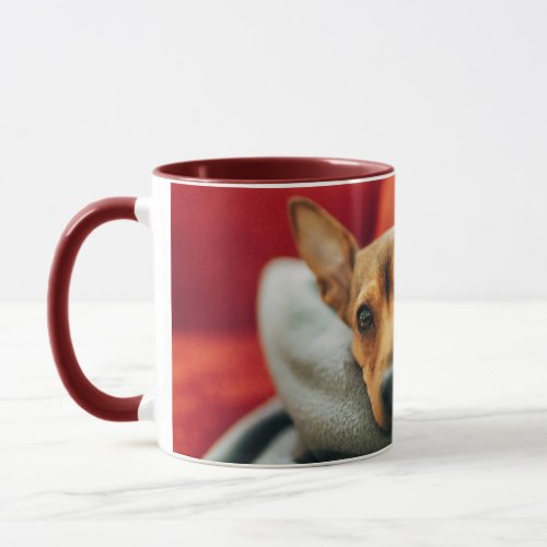 Cutest Baby Animals  Miniature Pinscher Mug