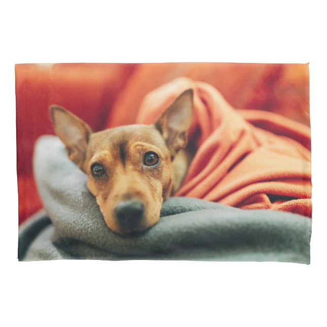 Cutest Baby Animals | Miniature Pinscher Pillow Case (Front)