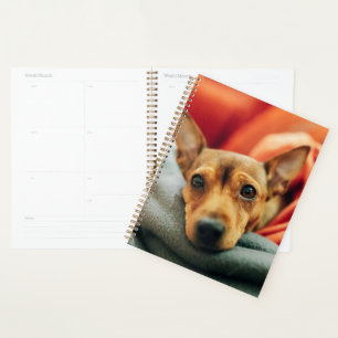 Cutest Baby Animals Miniature Pinscher Planner