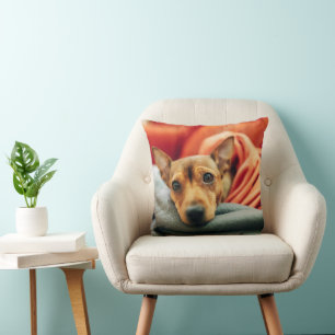 Cutest Baby Animals   Miniature Pinscher Throw Pillow