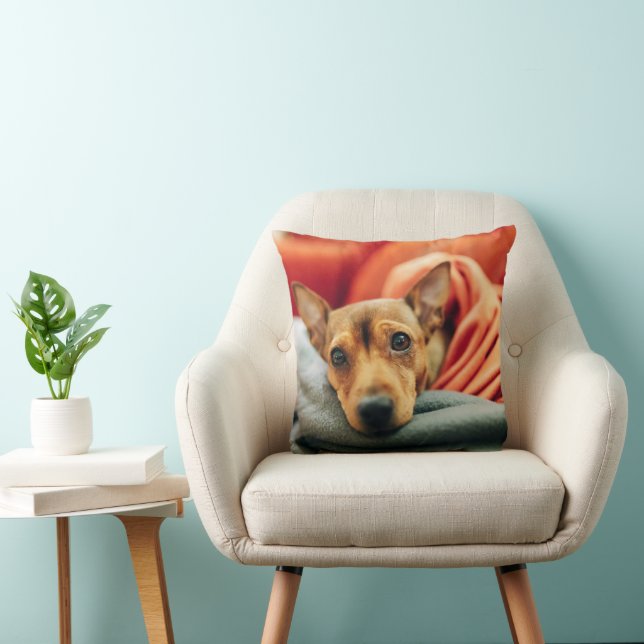 Cutest Baby Animals | Miniature Pinscher Throw Pillow (Chair)