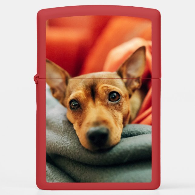 Cutest Baby Animals | Miniature Pinscher Zippo Lighter (Front)