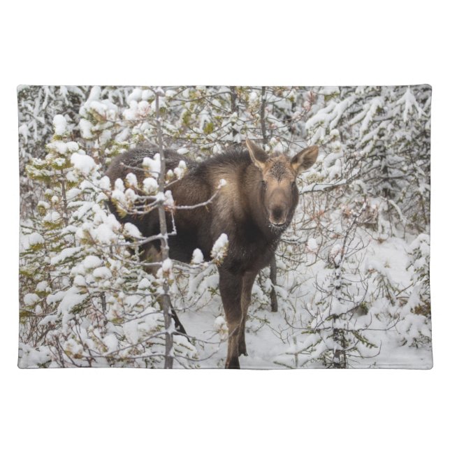 Cutest Baby Animals | Moose Calf Cloth Placemat (Front)