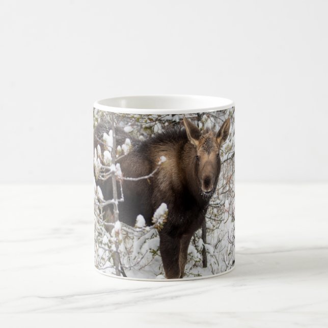 Cutest Baby Animals | Moose Calf Coffee Mug (Center)
