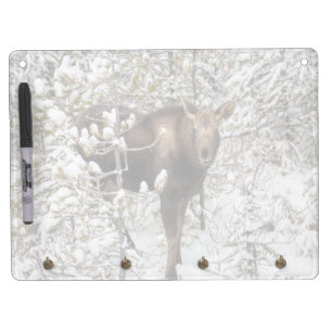 Cutest Baby Animals Moose Calf Dry Erase Board With Keychain Holder