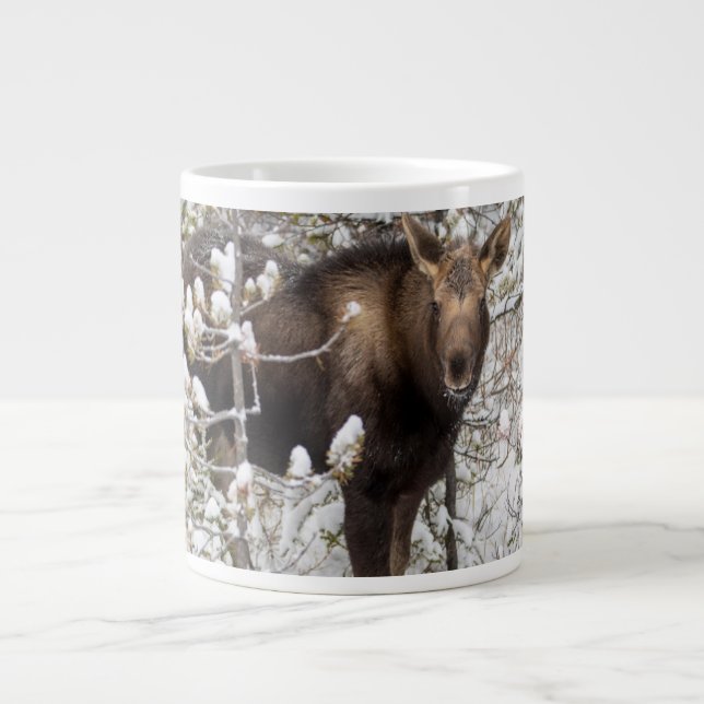 Cutest Baby Animals | Moose Calf Giant Coffee Mug (Front)